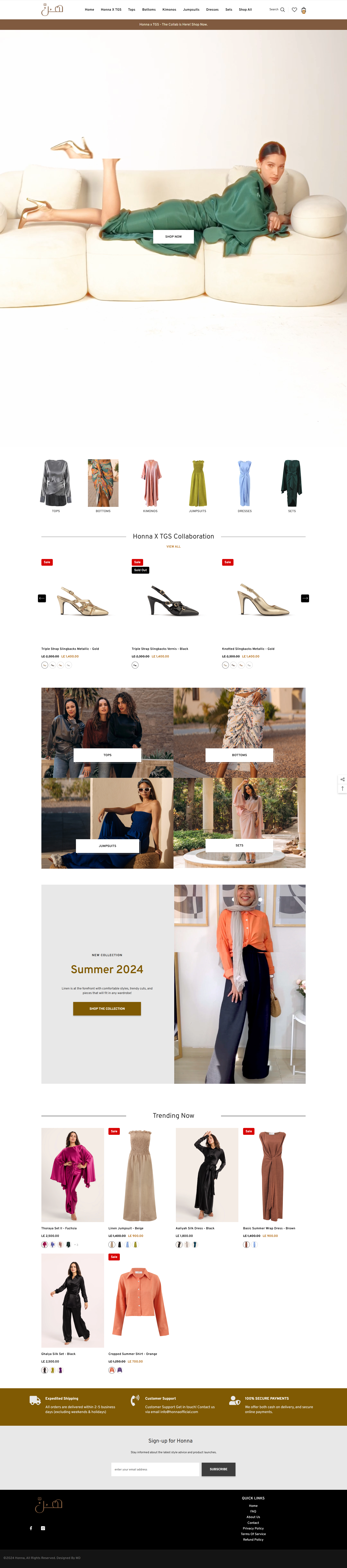 Honna Official website mockup